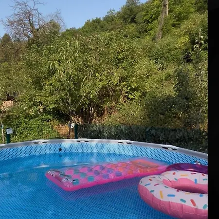 Nika Daire Tjentiste